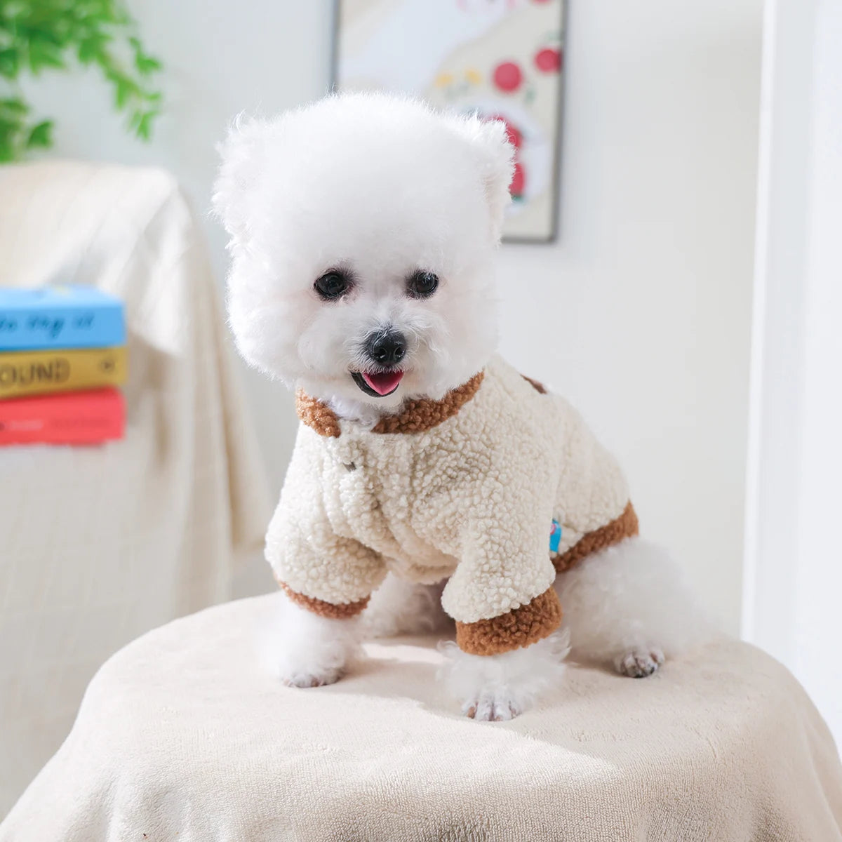 1Pc Cat Dog Pet Clothes Plush Zoo Sweater Bear Jacket Winter Thickened Warm and Cold Cat Jacket