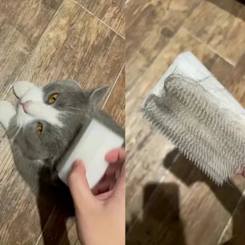 Tongue Sensory Cleaning Brush Soft Cat and Dog Tongue Coating Brush Double-sided Sponge Cat Tongue Comb Cat Massage Brush